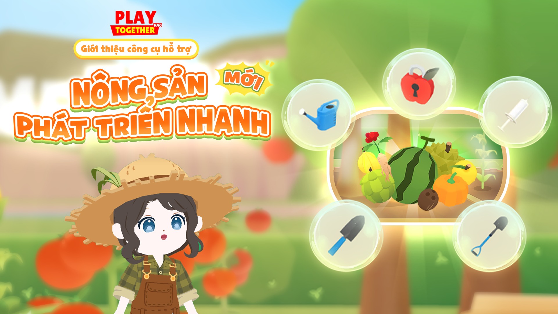 TẶNG QUÀ NÔNG SẢN